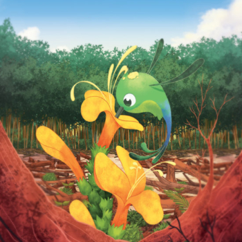 Hummingbird's nest - Rubicon