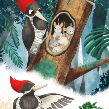 Hummingbird's nest - Rubicon